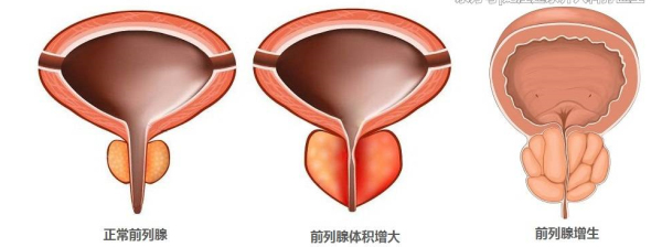 图片3.jpg 图片3.jpg