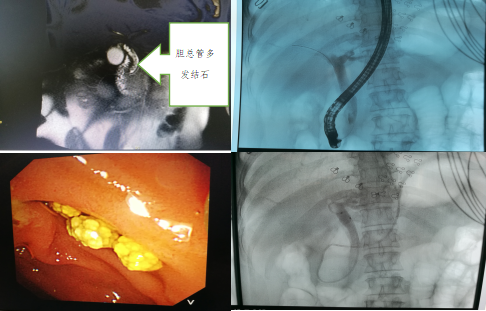 组合 3.png 组合 3.png