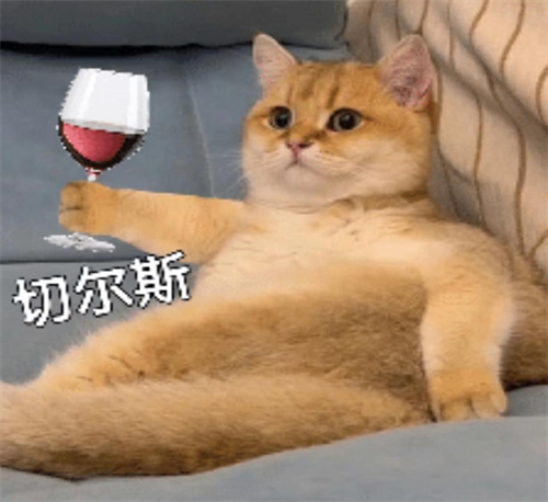 图片19.png 图片19.png